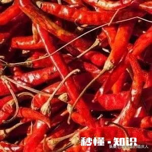 腥辣的腥到底是一种什么味道