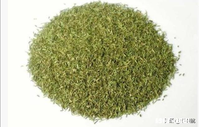 腥辣的腥到底是一种什么味道