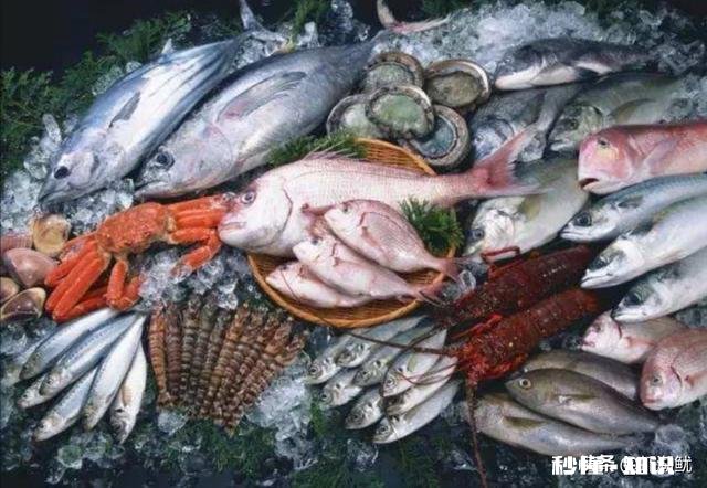 腥辣的腥到底是一种什么味道