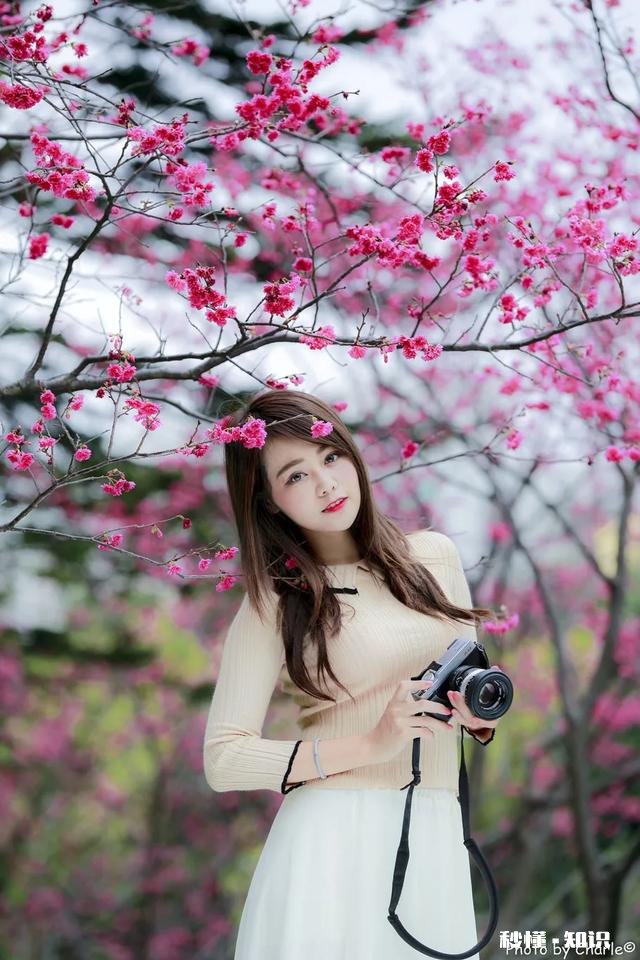 上联：菊绽桂争艳，下联如何对