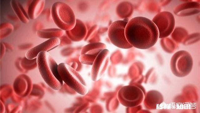 月经量多喝红糖姜水可以吗