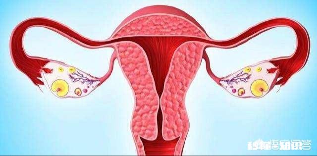 月经量多喝红糖姜水可以吗