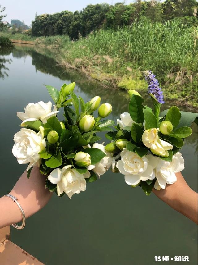 那些教人怎么养抖音号的是真的吗