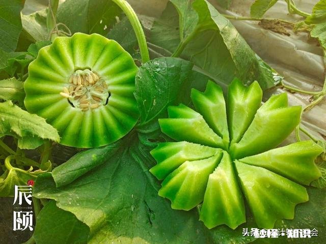 那些教人怎么养抖音号的是真的吗