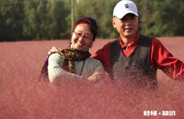 为什么总有人宁愿拿着三四千块一个月工资呆在自己长大的城市呢