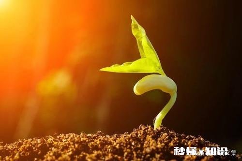 你认为的生命觉醒是什么