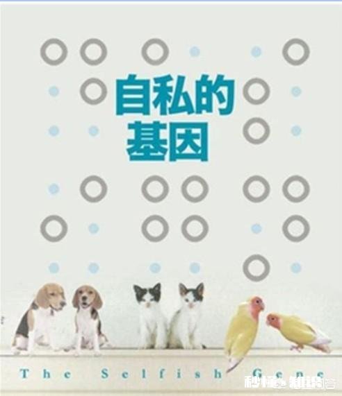 以前很在乎别人看法的人,现在不那么在乎了,是成熟了还是自私了