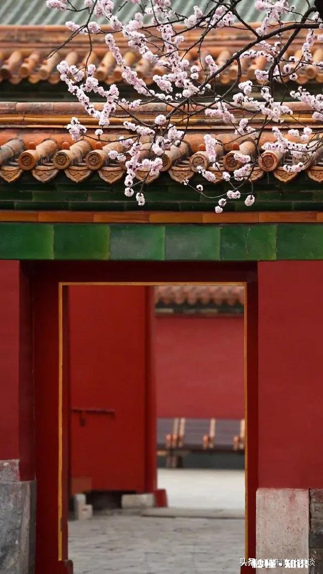 领导干部试用期有错,怎么处理