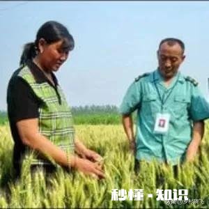 为什么一些地方农产品在产地价格低,不好卖,一进城价格却变贵了