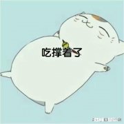 学厨师，职业发展前景怎么样