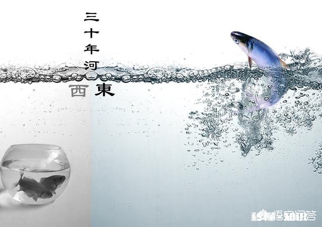 你们都是怎样确定关系的