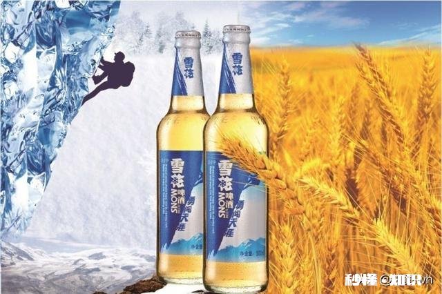 你烧烤喜欢喝什么啤酒