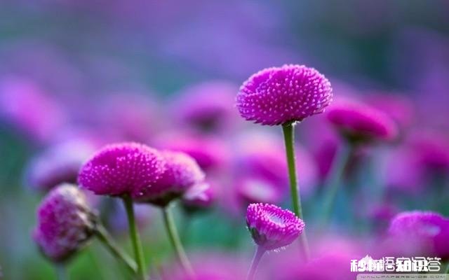 如果有下辈子,你还会选择和自己老婆在一起吗