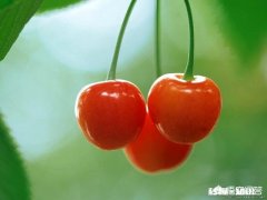 如果有下辈子，你还会选择和自己老婆在一起吗