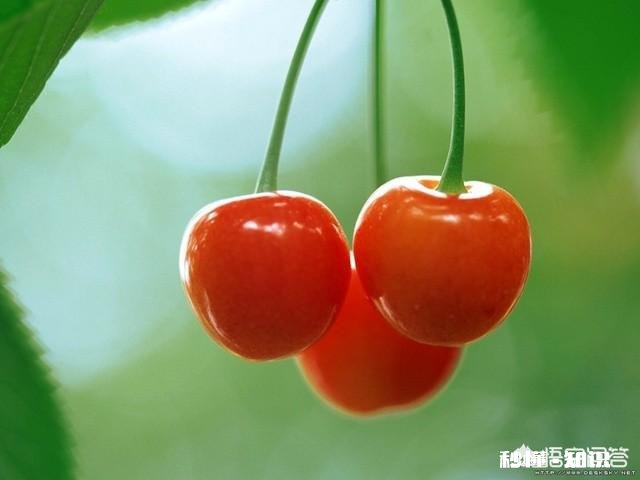 如果有下辈子,你还会选择和自己老婆在一起吗