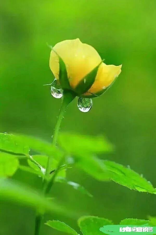 如果有下辈子,你还会选择和自己老婆在一起吗