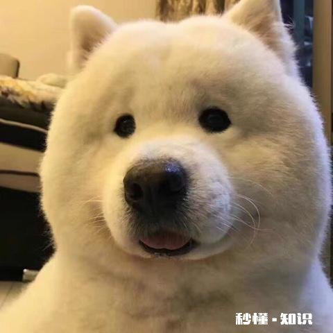 南宁怎么那么热