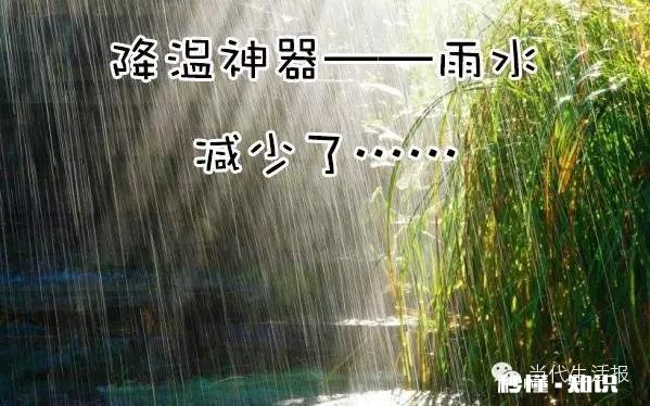 南宁怎么那么热