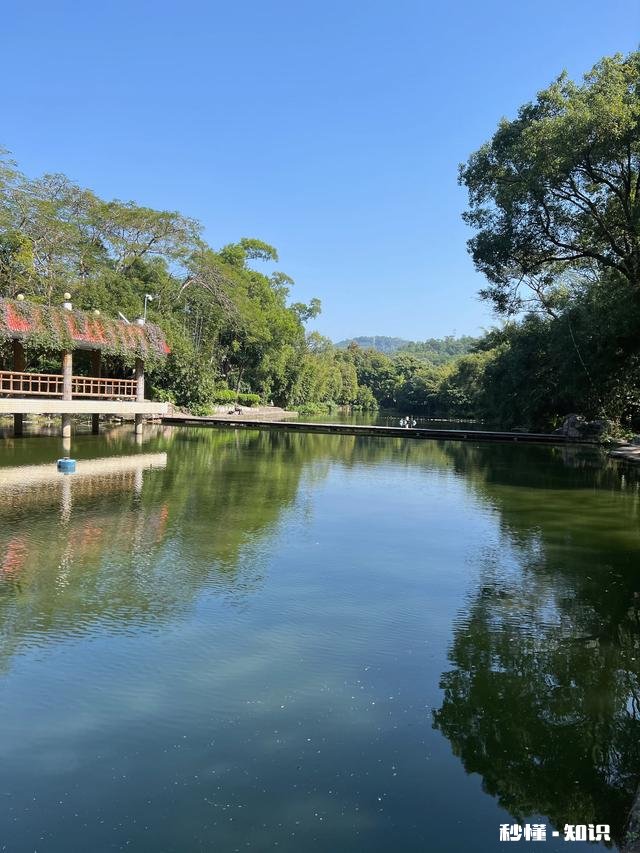 放开了，你敢出门吗