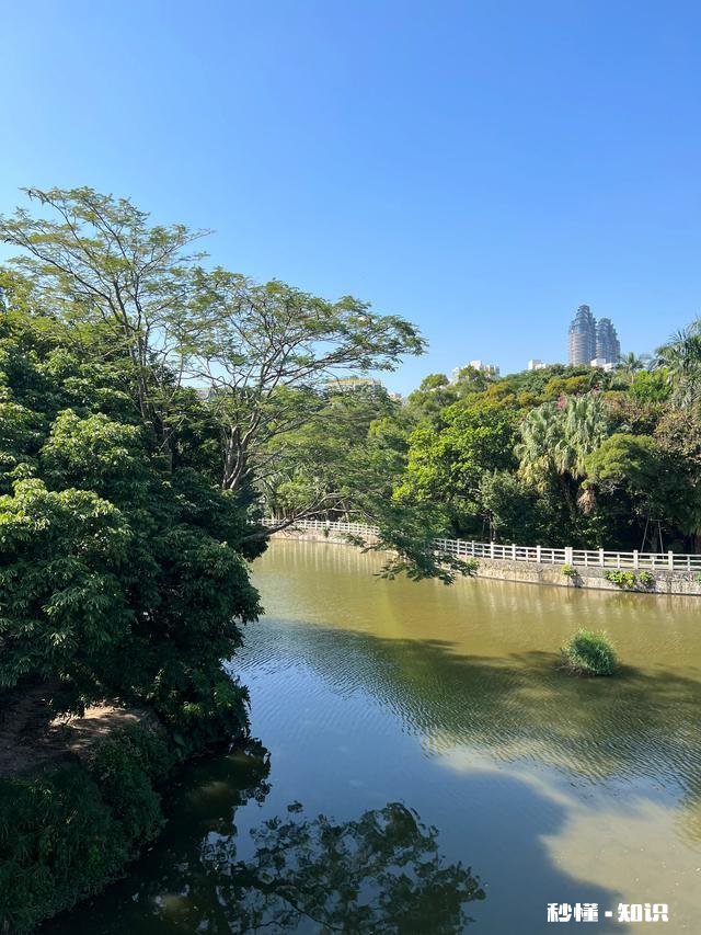 放开了，你敢出门吗