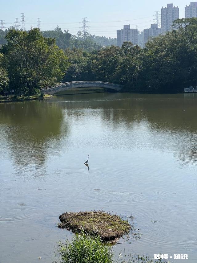 放开了，你敢出门吗