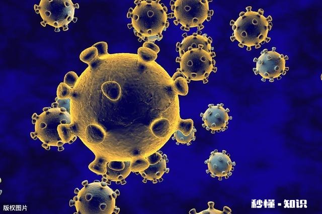 现在的新冠疫情,你觉得哪个国家会最先比中国更严重为什么