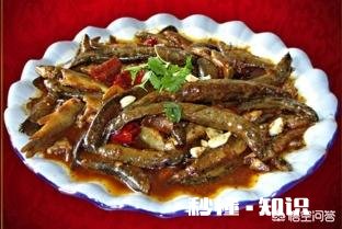 养殖泥鳅的利润高不高