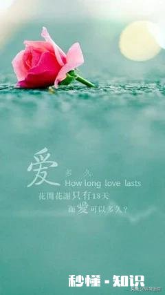 有哪些通篇不直写孤独,却让人深感孤独的文字