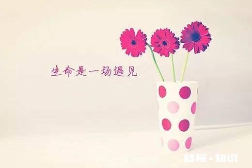 两个人吵架，选择沉默会让事态变严重吗该如何面对呢