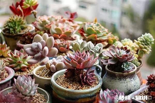 为何在死神面前，绝尽全力依旧无法挽留至亲，让人痛不欲生