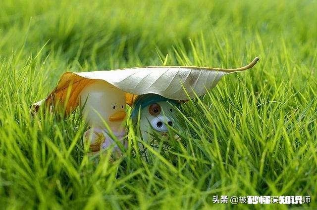 有些老人为什么摔一跤就会骨折,吃点什么能让骨骼更结实一些