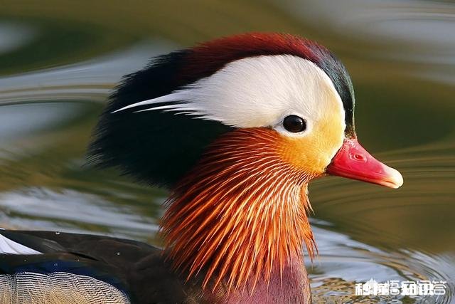 详见下图 网上有摄影师讲一年能拍20万张左右照片你怎么认为