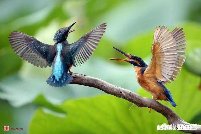 详见下图 网上有摄影师讲一年能拍20万张左右照片你怎么认为