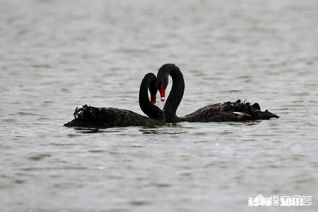 详见下图 网上有摄影师讲一年能拍20万张左右照片你怎么认为