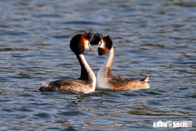 详见下图 网上有摄影师讲一年能拍20万张左右照片你怎么认为