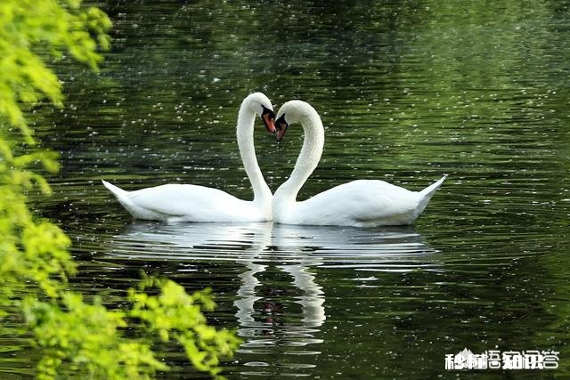 详见下图 网上有摄影师讲一年能拍20万张左右照片你怎么认为