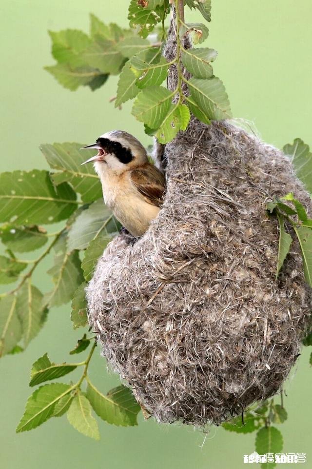 详见下图 网上有摄影师讲一年能拍20万张左右照片你怎么认为