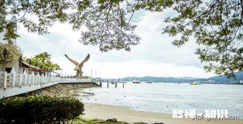 家庭中什么才是最重要的