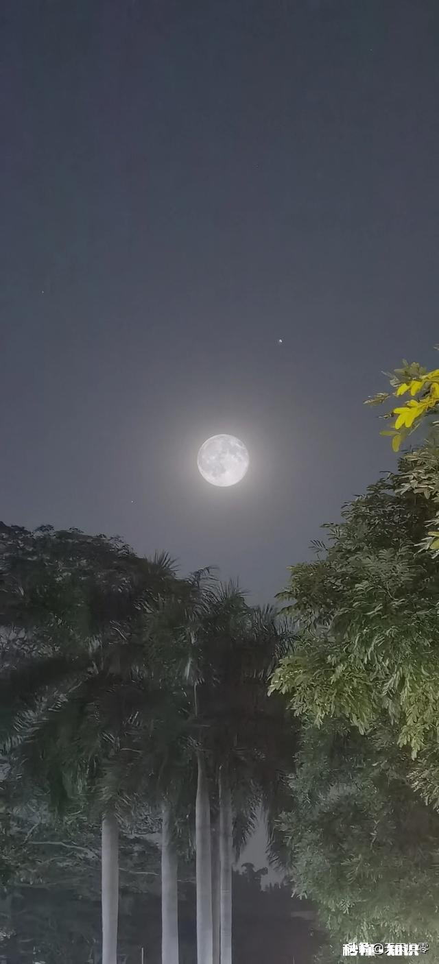 你认为人世间的幸福很美好,都包括了哪些方面