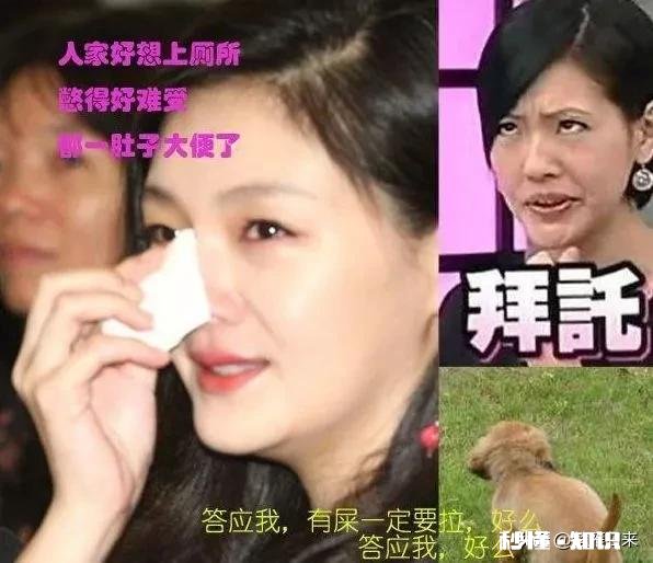 大曲线跟汪最后谁是赢家