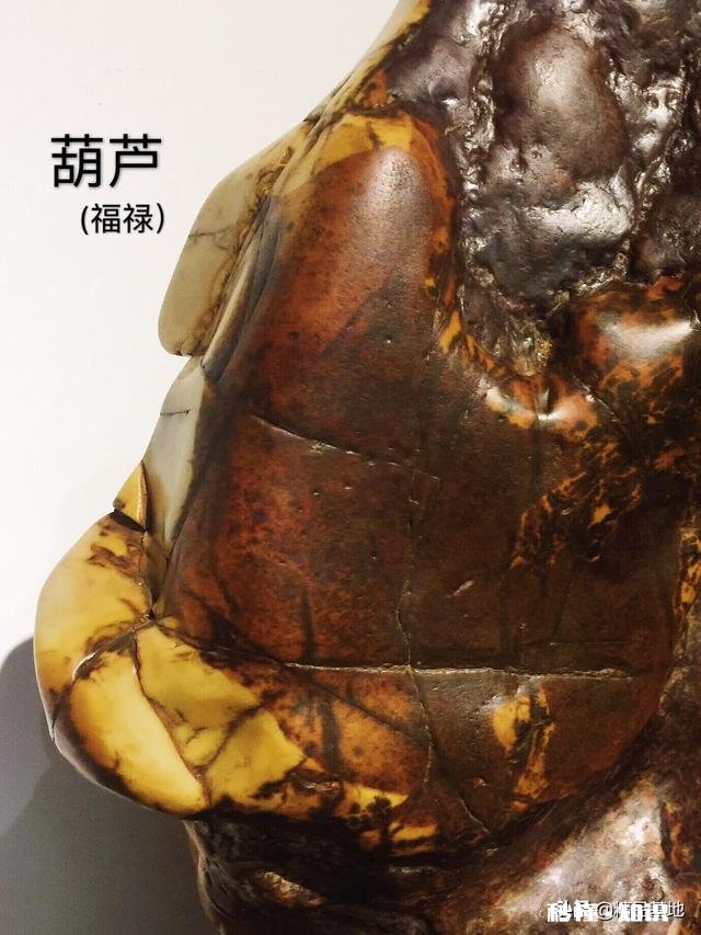 有人说在城市活得太累了,还是农村悠闲自在,大家说呢