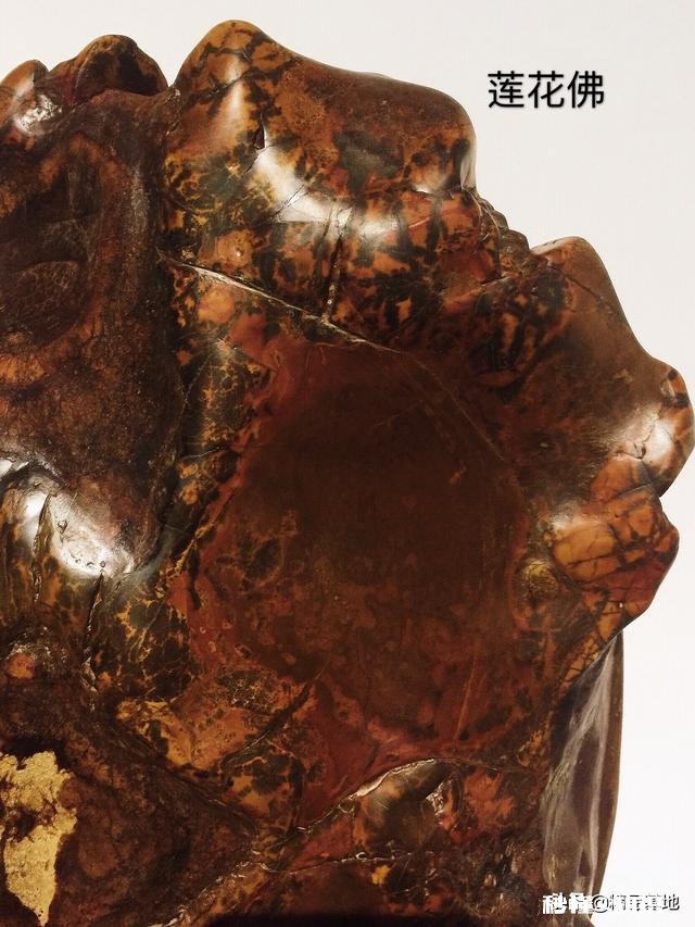 有人说在城市活得太累了,还是农村悠闲自在,大家说呢