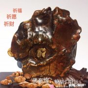 有人说在城市活得太累了，还是农村悠闲自在，大家说呢