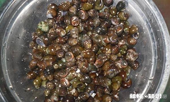 螺蛳粉冷水下锅煮十分钟真的煮熟了吗