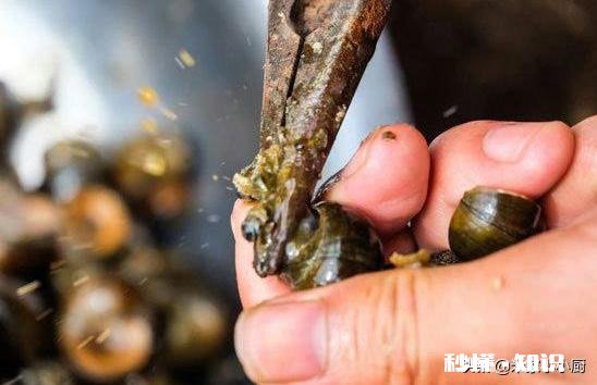 螺蛳粉冷水下锅煮十分钟真的煮熟了吗