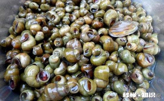 螺蛳粉冷水下锅煮十分钟真的煮熟了吗