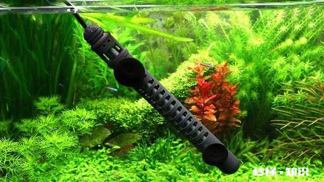 25瓦水泵和300瓦加热棒一个月多少电费