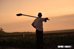 对生活我们该持怎样的态度，精心打理，努力拼搏，安于现状，是过好当下，还是憧憬未来