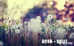 六一儿童节到了，如果让你再回到童年，你觉得你最想干什么