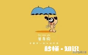 近来，好多朋友关心我的网名———芝加哥流氓，能接受的有多少